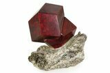 Twinned Maroon Almandine Garnets in Schist - Italy #352076-1